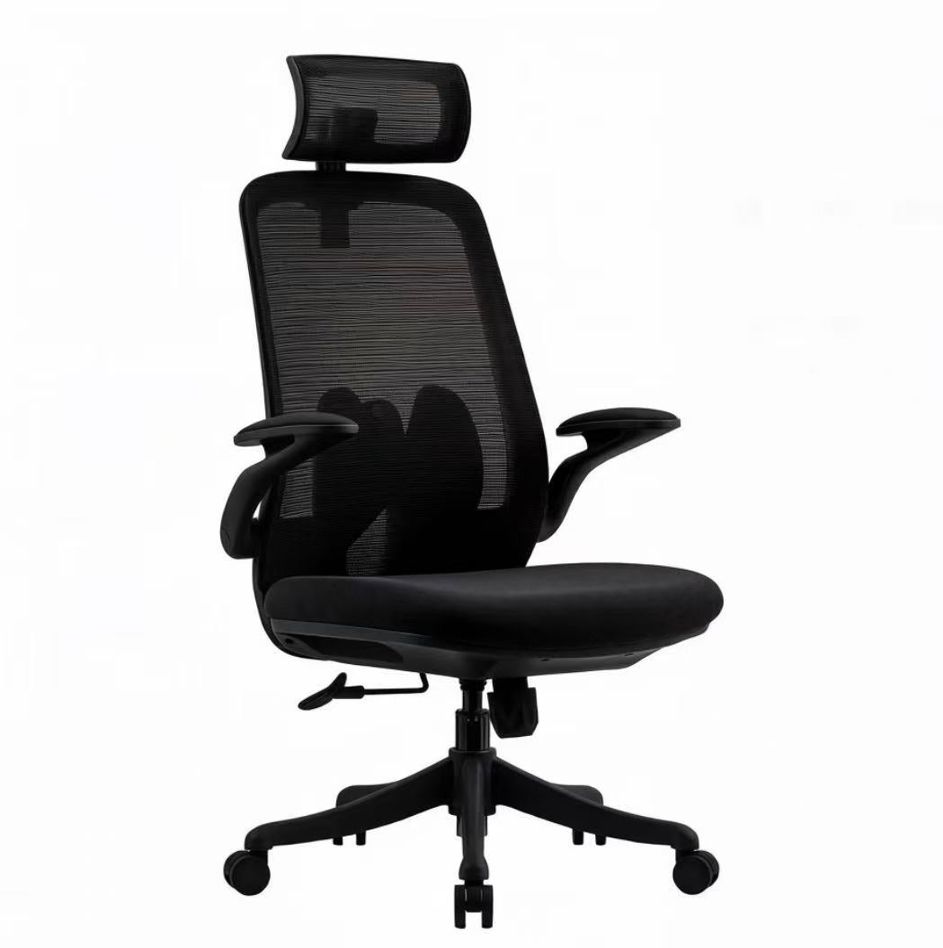 Ergonomic Mesh Office Chair with Adjustable Headrest & Lumbar Support